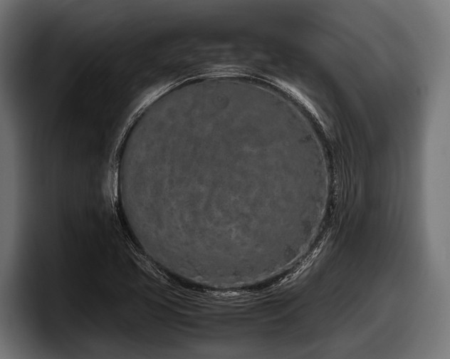 X0000097961413200803241204