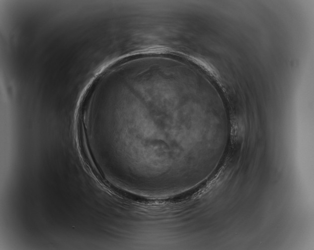 X0000097961414200803241204