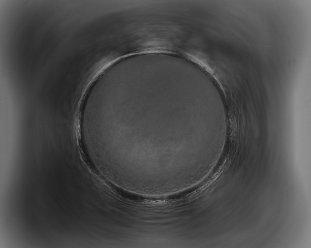 X0000097961415200803241204