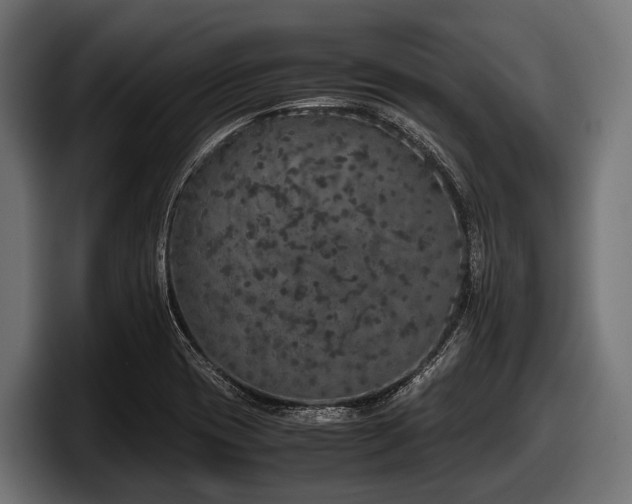 X0000097961417200803241204
