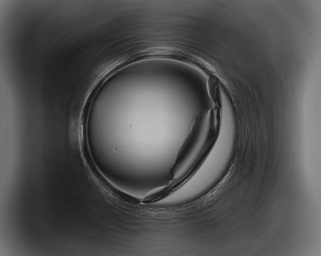 X0000097961418200803241204