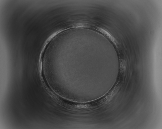 X0000097961419200803241205