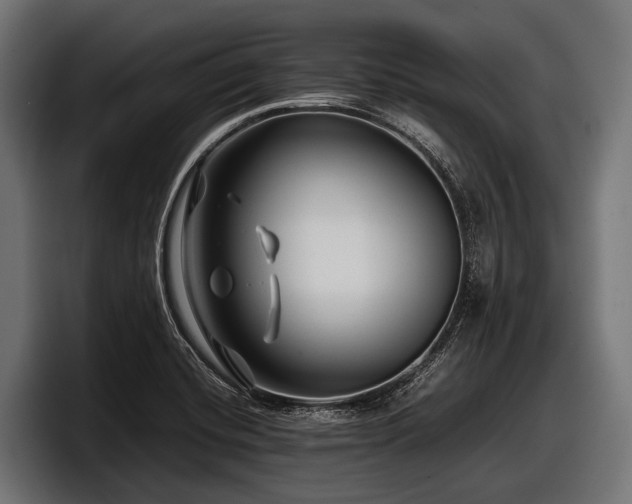 X0000097961420200803241205