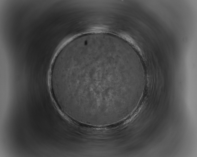 X0000097961421200803241205