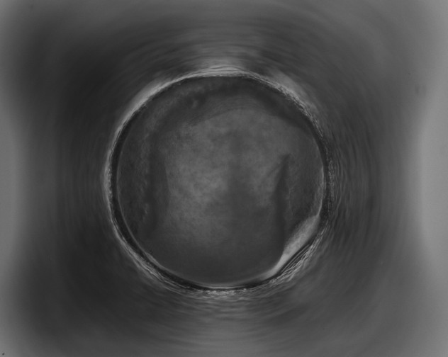 X0000097961422200803241205