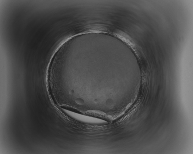 X0000097961423200803241205