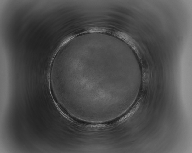 X0000097961425200803241205