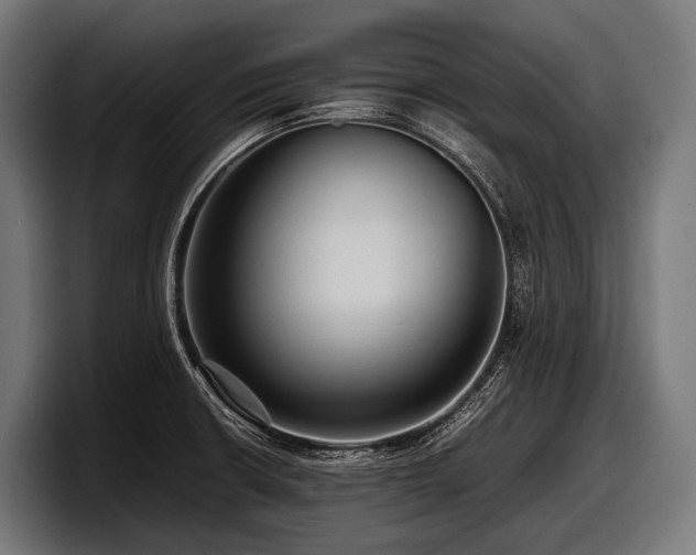 X0000097961426200803241205