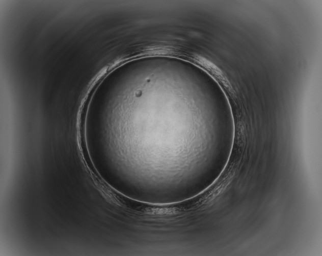 X0000097961427200803241205