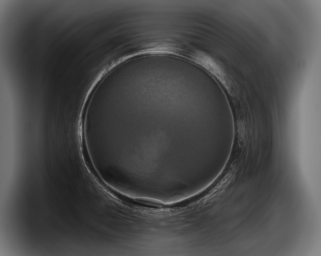 X0000097961428200803241205