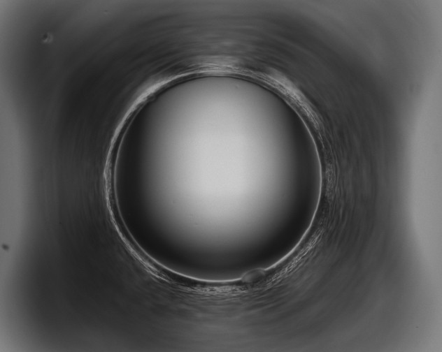 X0000097961432200803241205