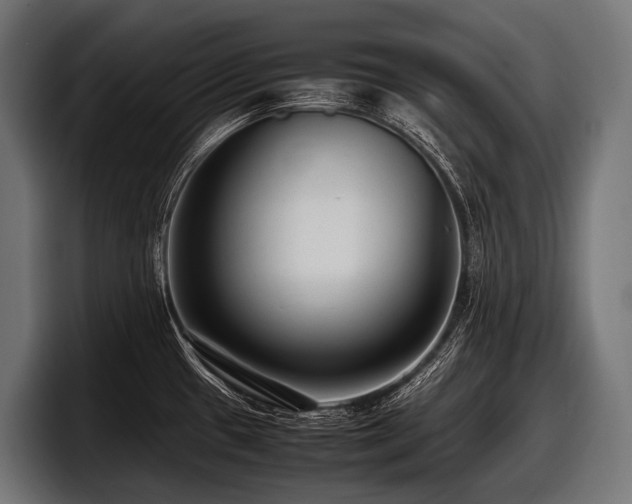 X0000097961433200803241205