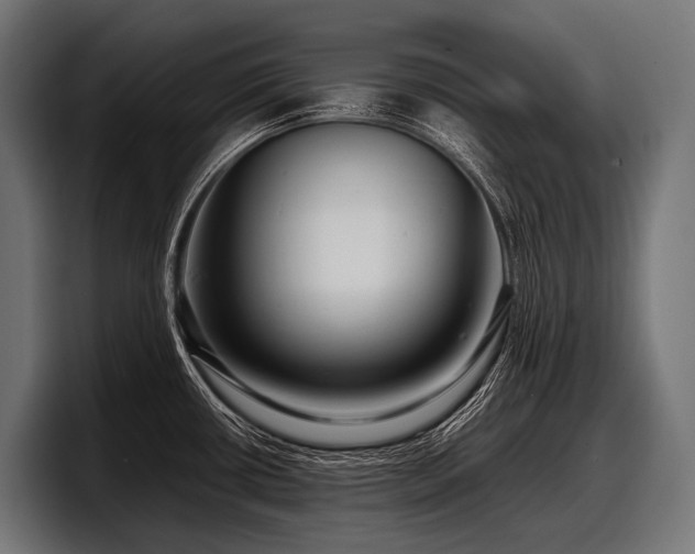 X0000097961434200803241205