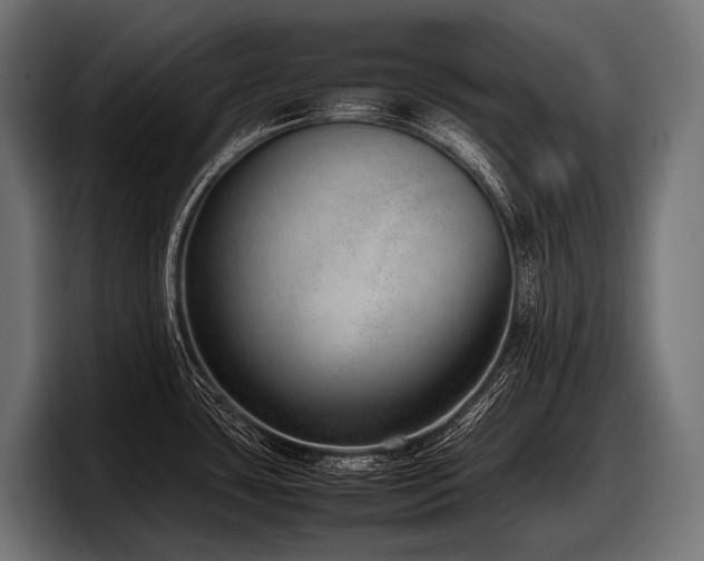X0000097961435200803241205
