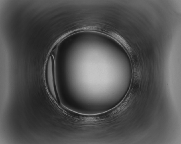 X0000097961436200803241205