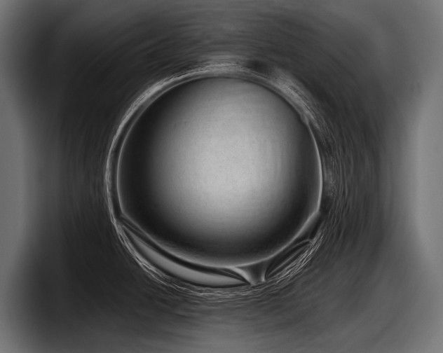 X0000097961438200803241205