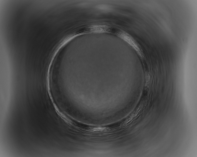 X0000097961439200803241205