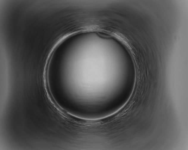 X0000097961440200803241205