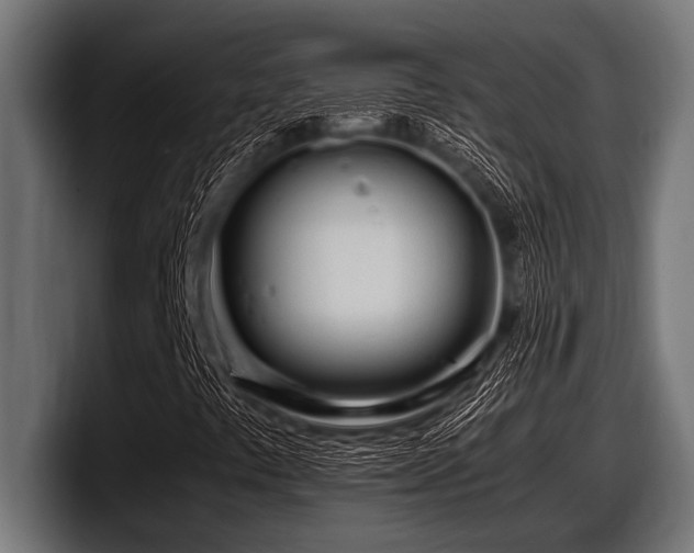 X0000097961441200803241204