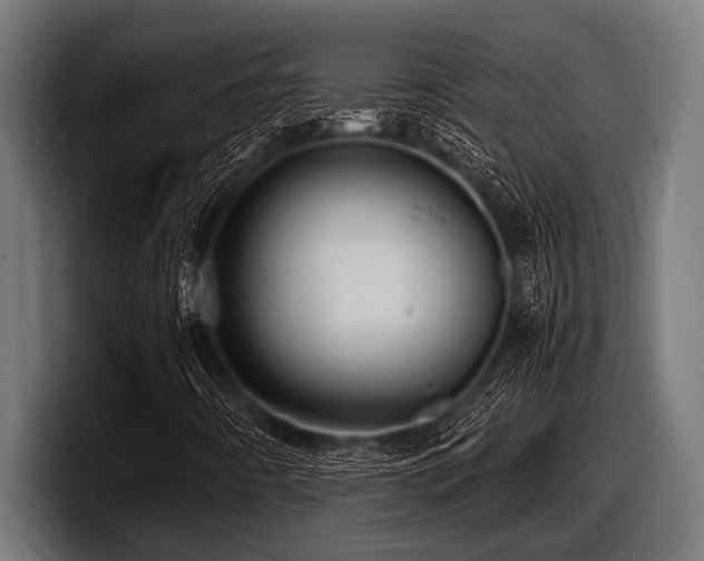 X0000097961442200803241204