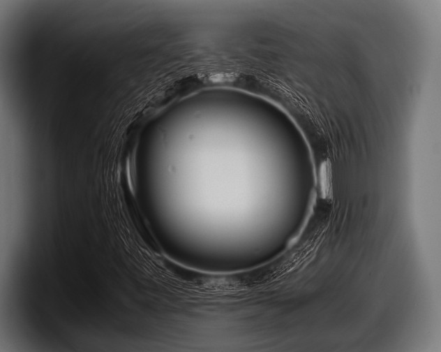 X0000097961443200803241204