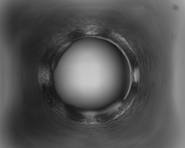 X0000097961444200803241204