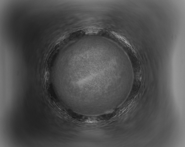 X0000097961445200803241204