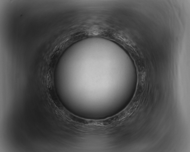 X0000097961446200803241204