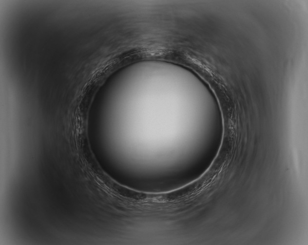 X0000097961447200803241204