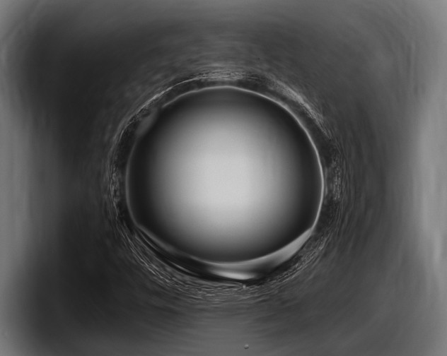 X0000097961448200803241204