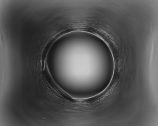 X0000097961449200803241204