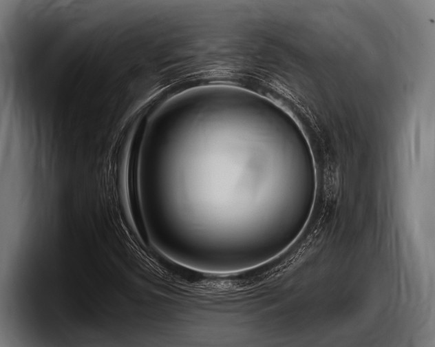 X0000097961450200803241204