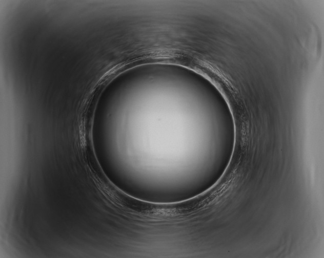 X0000097961451200803241204