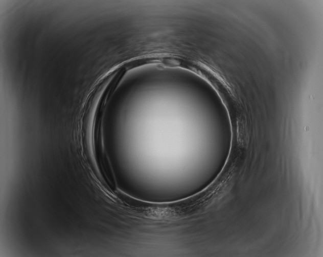 X0000097961452200803241204