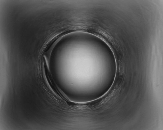 X0000097961453200803241204