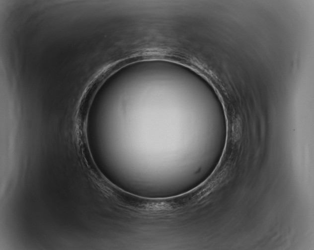 X0000097961454200803241204