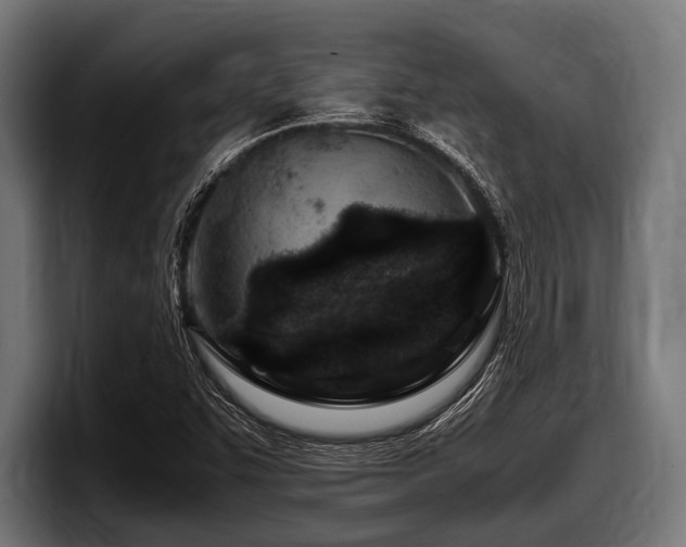 X0000097961455200803241204