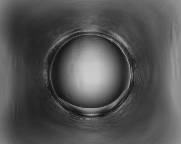 X0000097961456200803241204