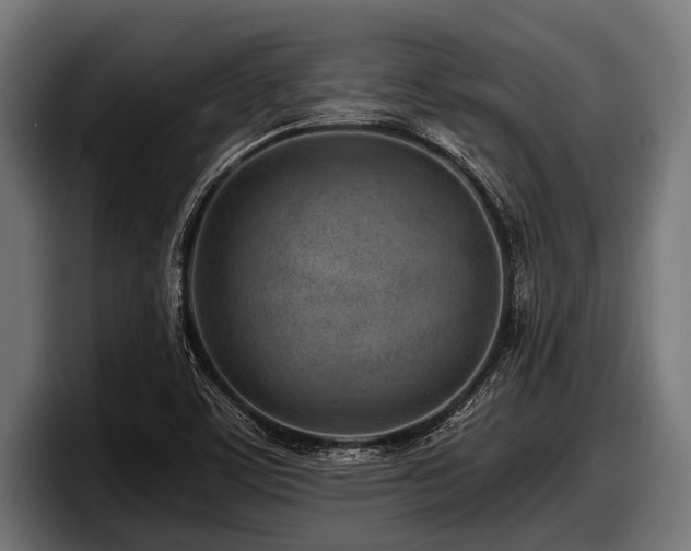 X0000097961459200803241204