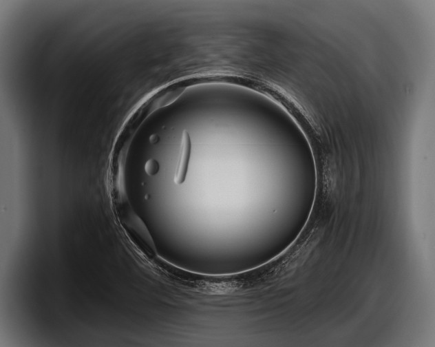 X0000097961460200803241204