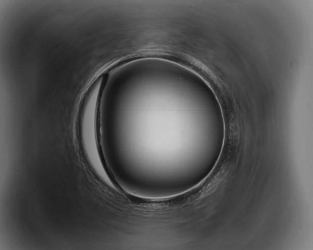 X0000097961461200803241204