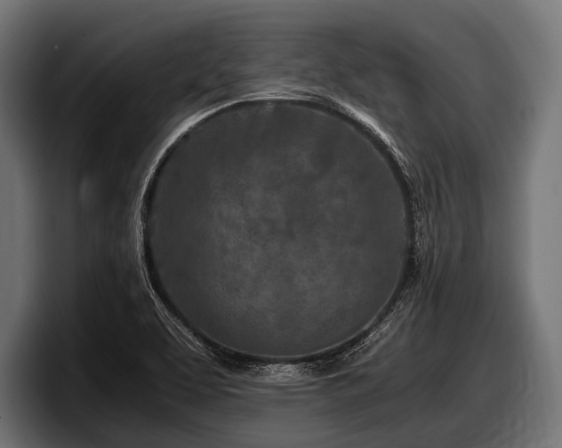 X0000097961463200803241204