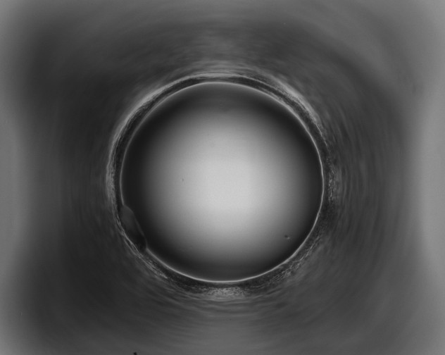 X0000097961464200803241204