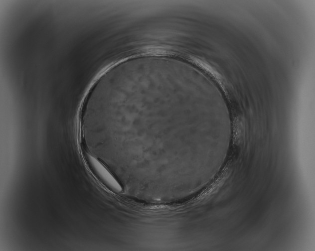 X0000097961467200803241204