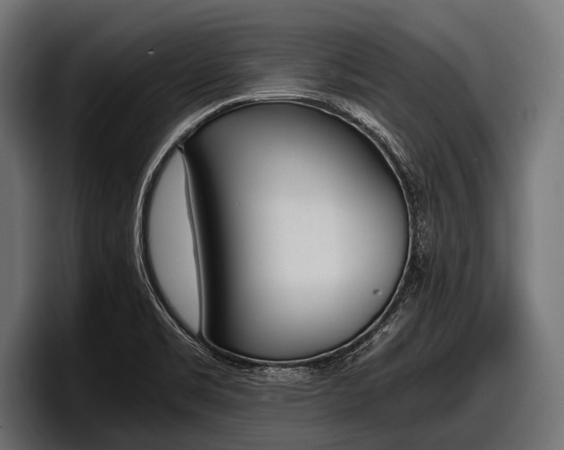 X0000097961469200803241204
