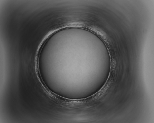 X0000097961470200803241204