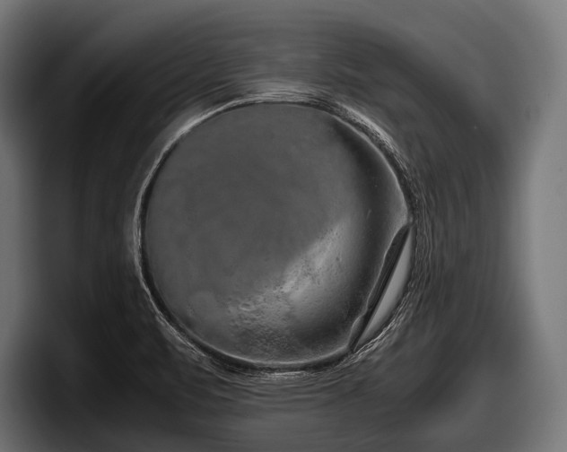 X0000097961471200803241204