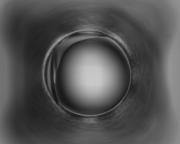 X0000097961472200803241204