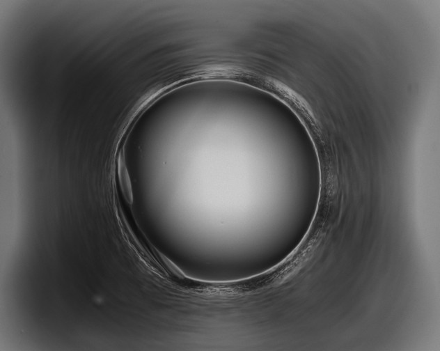 X0000097961473200803241204