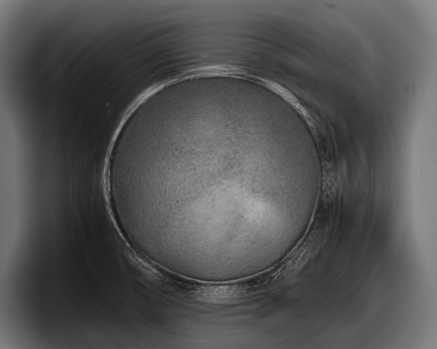 X0000097961474200803241204